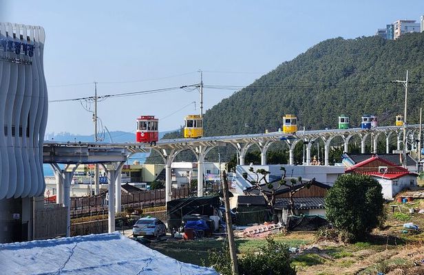 Busan private tour with a licensed tour guide