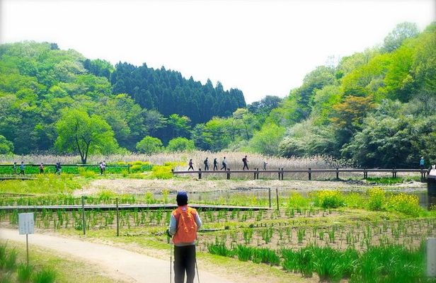 Lake Shidaka and Lake Kagurame Nordic Walking Tour