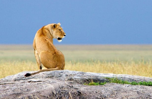 6 Days of Experiences Through Northern Circuit Destinations