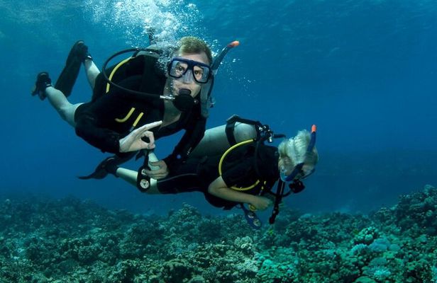 Tiran Island Full Day 2 Diving Stops Trip & Lunch–Sharm El Sheikh