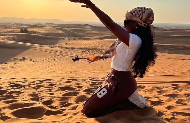 VIP Evening Desert Safari BBQ Dinner and Live Shows