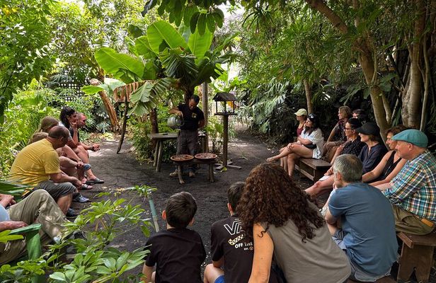 Eco Friendly Banana Cultivation Tour in La Palma