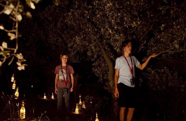 An Immersive Night Tour Between Vines and Lights