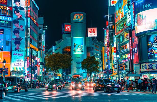 Tokyo After Dark: Private Night City Tour