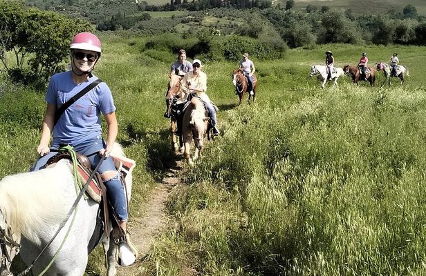 Horseback Ride and Wine Tasting Tour near Florence
