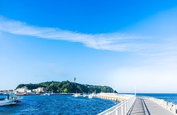 Kamakura/Enoshima/Yokohama Day Trip from Tokyo in Private Van