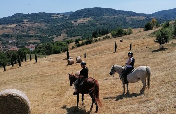 Horseback Ride through the Emilian Hills from Vergato