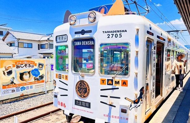 Osaka Wakayama Cat Train, Seafood market, Hot Springs Tour