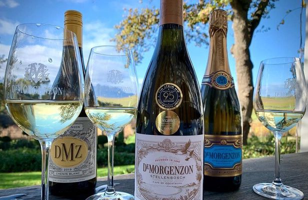 Cape Winelands Private Tour to Stellenbosch and Franschhoek