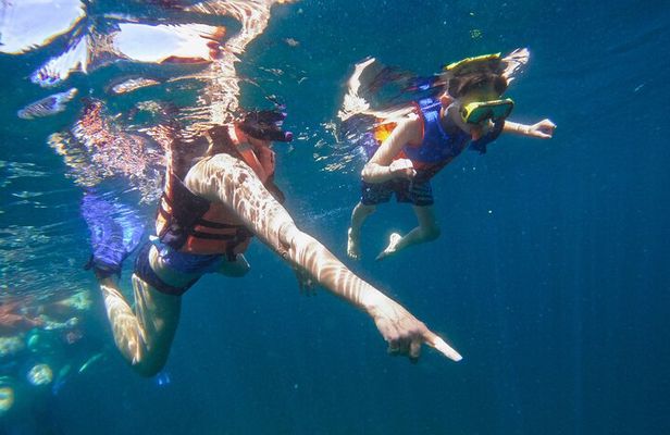 Famous Pato Bobo Adventure Boat