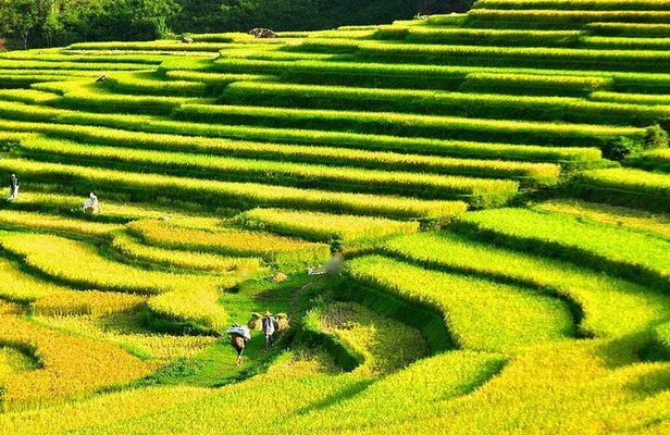 Mountain Life in Motion Trekking Pu Luong’s Untouched Beauty