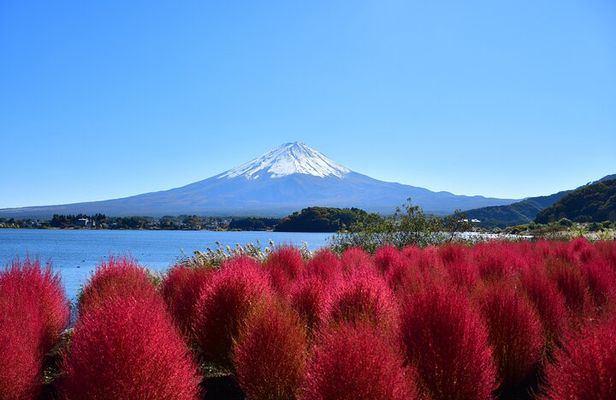 Tokyo: Mt. Fuji & Lake Kawaguchiko 1Day Bus Tour with Lunch