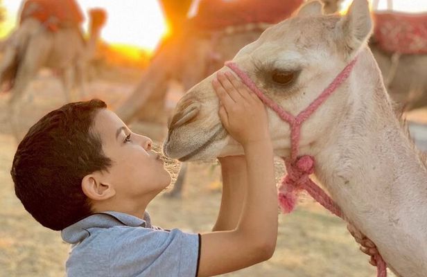 From Marrakech Swimming Pool, Camel Ride, Lunch in Agafay Desert