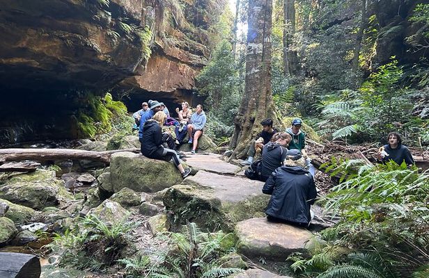 Blue Mountains Grand Canyon Adventure: Ultimate Hiking Tour