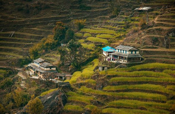 Ghorepani Poonhill Ghandruk Trek from Pokhara: 4-Day Adventure