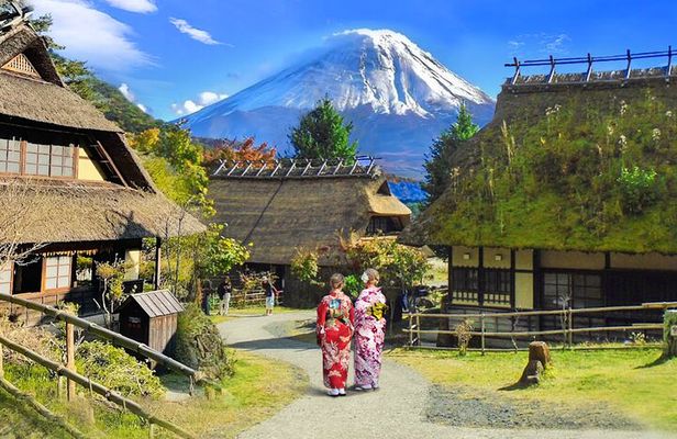 Tokyo: Mount Fuji Must-see Attractions One Day Sightseeing Tour
