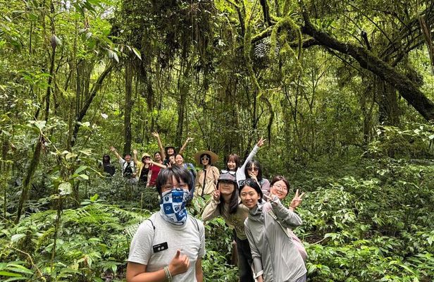 Munduk Twin Lake Trekking and Canoing