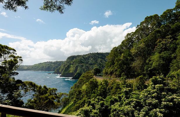 Half way to Hana Maui Open Air Jeep Private Tour