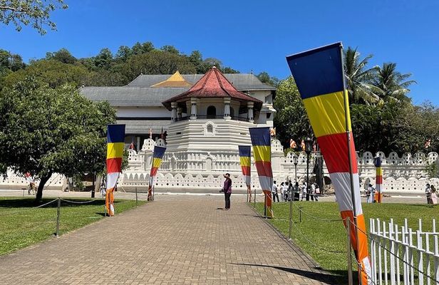 Kandy Full Day Tour from Colombo and Negombo and CMB Airport