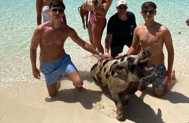 #1 Rated 4 Hour Private Rose Island Tour Beach Snorkeling Turtles