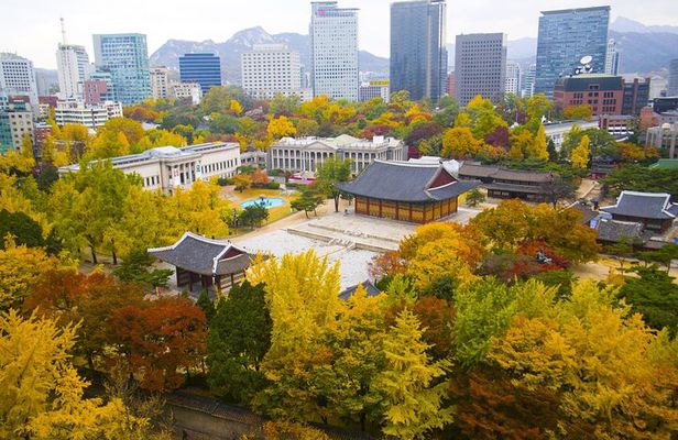 Seoul Iconic Attractions Guided Tour
