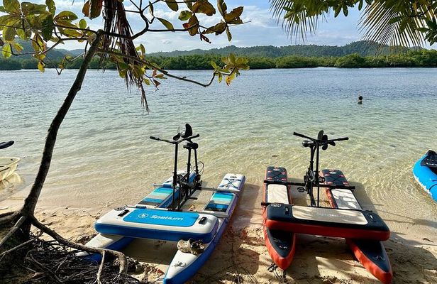 Siargao Sunset Paddle Board and Firefly Watching