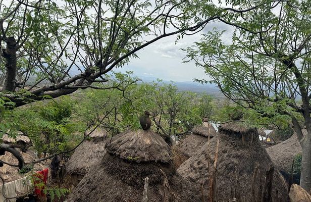 3 Days Arba Minch and Konso Tour: Nature and Culture Adventure
