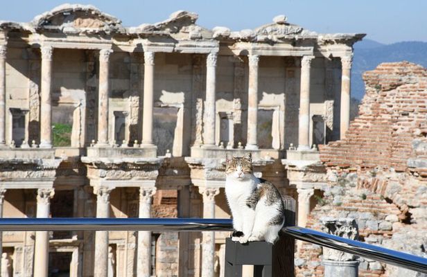 Luxury Ephesus Tour Departing from Kusadasi Port