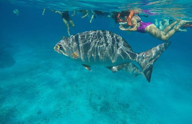 Private Sky Snorkeling Tour