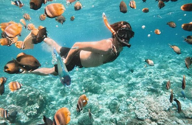 Blue Lagoon Snorkeling Tour - Waterfall - Swing - ATV 