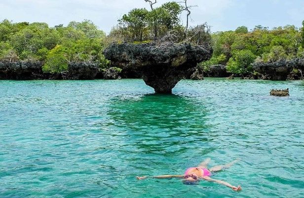 Zanzibar Full day Private tour Safari blue & Seafood BBQ Sunset