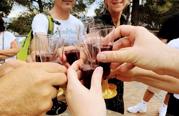 Barcelona: Magic Montjuïc Tour, Wine Tasting & Best photo spots!