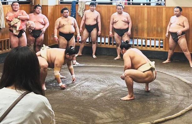 Tokyo Morning Sumo Practice Viewing Tour at a Real Stable