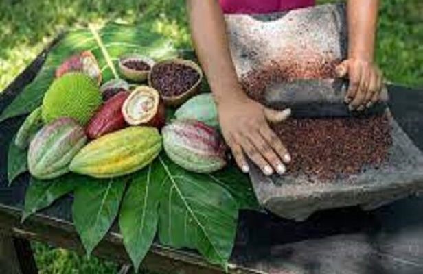 Bijagua Coffee, Cacao & Pineapple FarmTour Tastings–Costa Rica