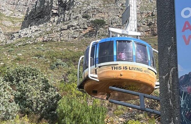 Cape Town Half-Day Table Mountain Tour