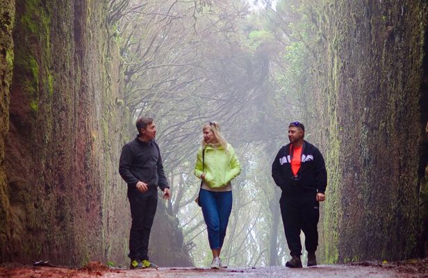 Explore Anaga's hidden gems. Free Pick-up. Small Group Tour.