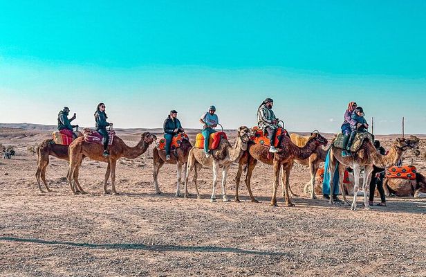 Marrakech: Agafay Desert Dinner Show with Sunset Camel Ride
