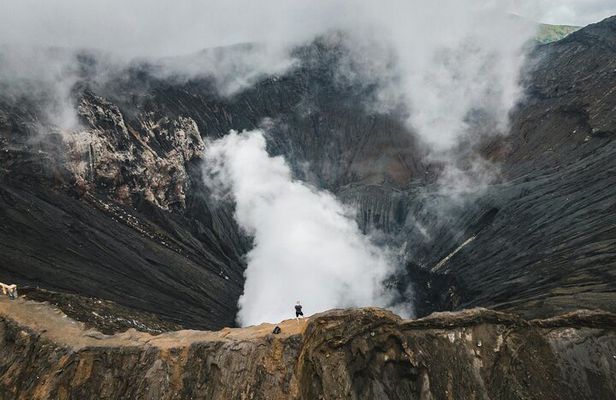 Mount Bromo Private Day Tour Experience Crater and Sunset Viewing
