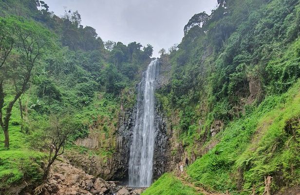 Waterfalls Hike , Coffee tour & Moshi city experience Day Trip.