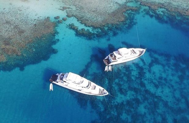 Tiran Island Two Dive Stops Experience & Lunch - Sharm El Sheikh 