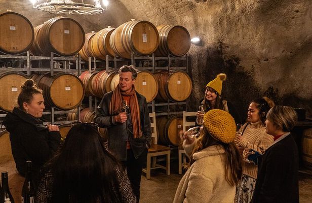 Gourmet Food and Wine Tour Queenstown All-Inclusive Tour