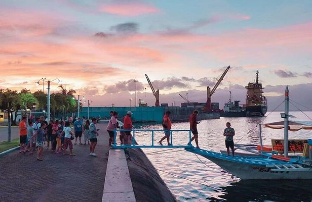 Puerto Princesa Firefly Watching Bay Cruise with Dinner