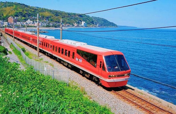 FromTokyo: Izu Scenic Oceanview Train, Volcano, Coast Day Trip