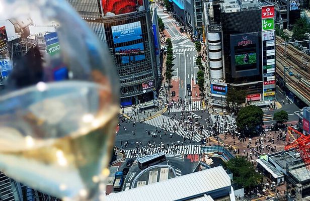 Unique Experience in Dynamic City Shibuya, 1 Day Includes All