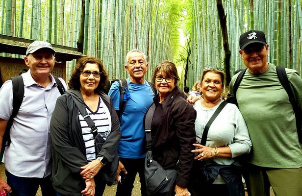 8 hours Arashiyama Monkey Park Ryoanji and Kinkaku ji Tour 