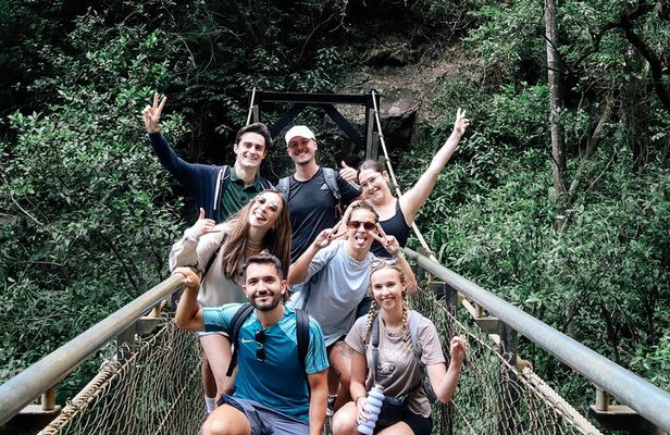 Super 7 Waterfalls and Natural Bridge Day Tour at Springbrook