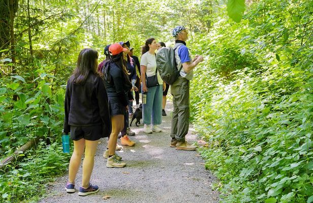 Trails Through Time Bellevue Coal Creek History Hike
