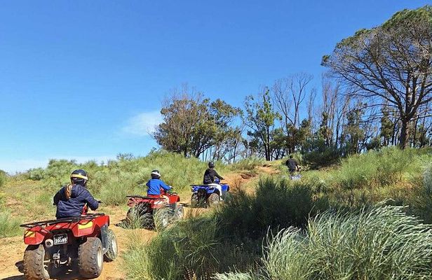 Hammamet Quad Tour 90 minutes with hotel pickup