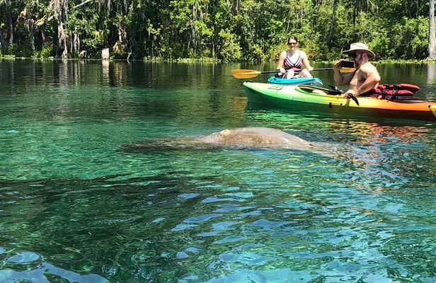 Manatee Springs Adventure Tour