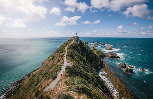 Invercargill to Dunedin via the Catlins Small Group 1 Way Tour